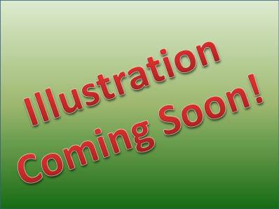 Illustration Coming Soon!