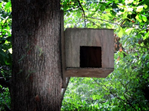 A picture of the infamous dog box