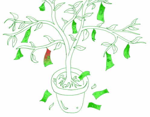A household money tree. Money perhaps CAN grow on trees!