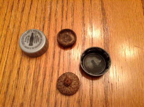 Acorn and soda caps useful for a whistle